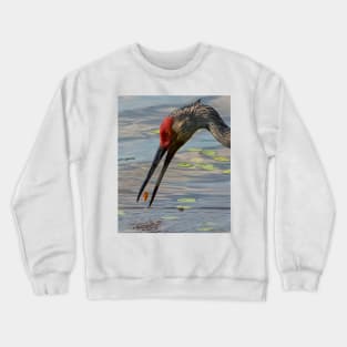 Feeding Sandhill Crane Crewneck Sweatshirt